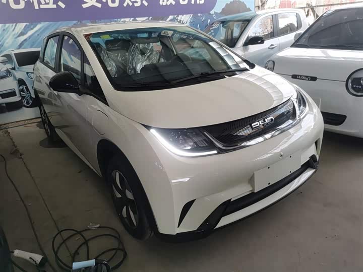 2025 BYD Dolphin