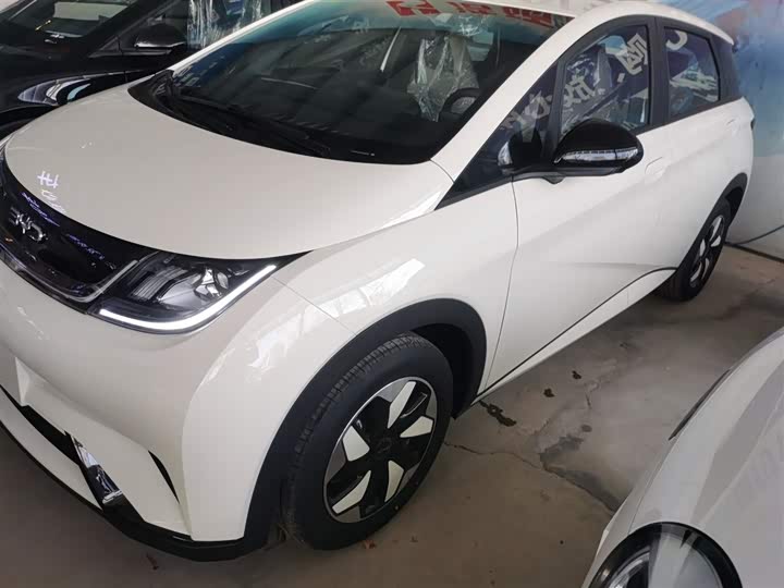 2025 BYD Dolphin