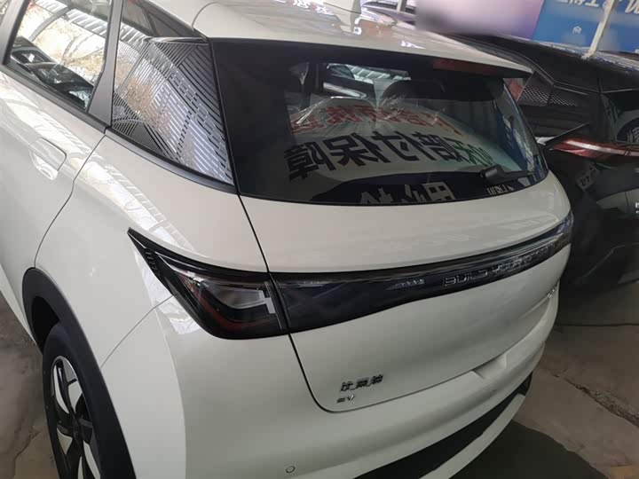 BYD Dolphin 2025 2025款 420km 自由版