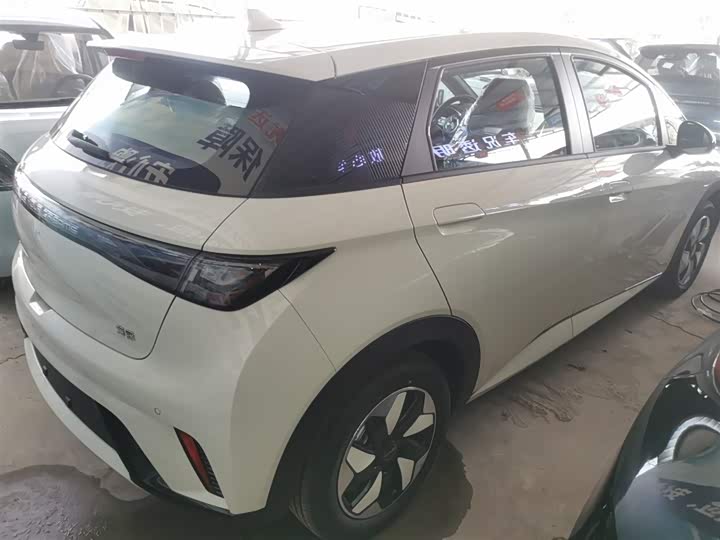 BYD Dolphin 2025 2025款 420km 自由版