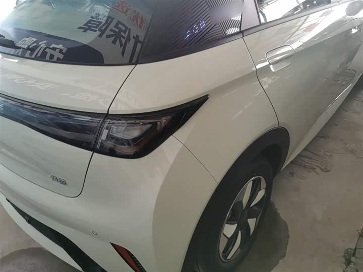 BYD Dolphin 2025 2025款 420km 自由版