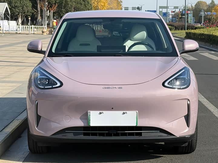 Geely Galaxy Geome 2025 2025款 UP 410km 探索版