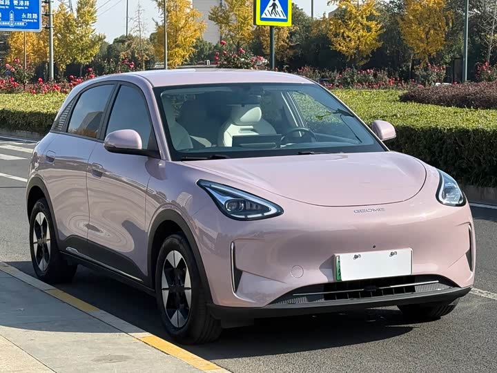 Geely Galaxy Geome 2025 2025款 UP 410km 探索版