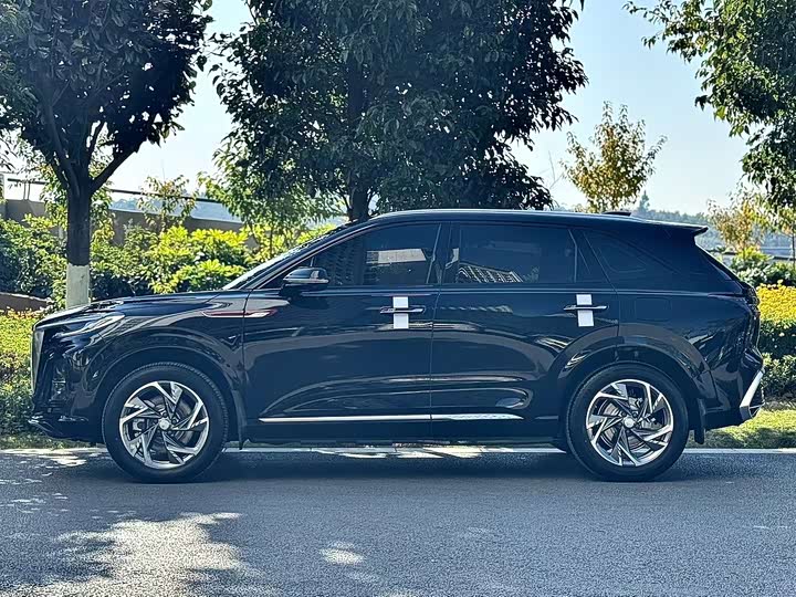 Hongqi HS3 Hybrid 2024 2024款 115km 劲为版
