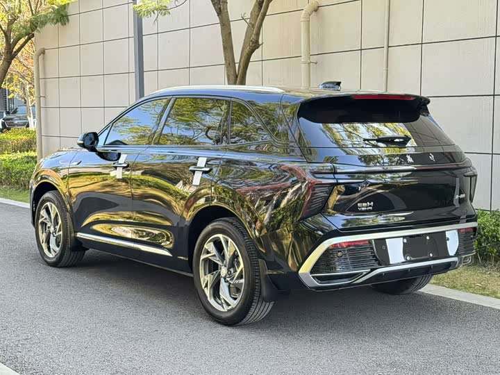 Hongqi HS3 Hybrid 2024 2024款 115km 劲为版