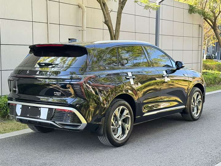 Hongqi HS3 Hybrid 2024 2024款 115km 劲为版