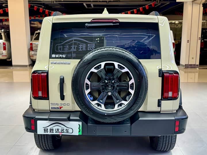 Tank 300 Hybrid 2025 2025款 Hi4-T 37.1kWh