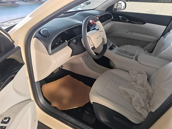 Geely Galaxy Geome 2026 2026款 310km 青春版