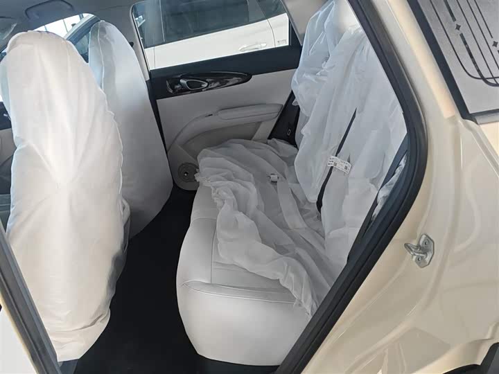 Geely Galaxy Geome 2026 2026款 310km 青春版