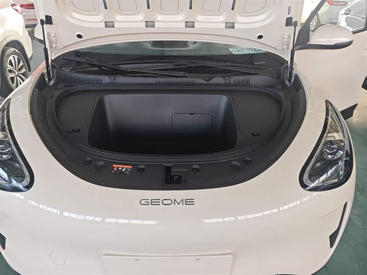 Geely Galaxy Geome 2026 2026款 310km 青春版