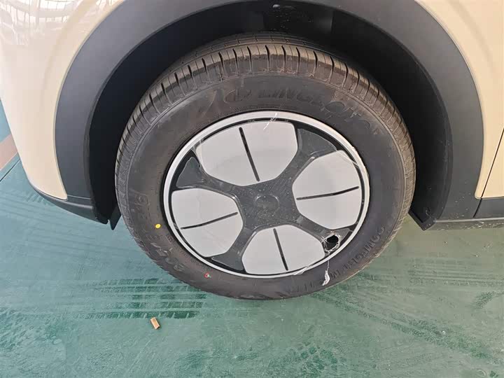 Geely Galaxy Geome 2026 2026款 310km 青春版