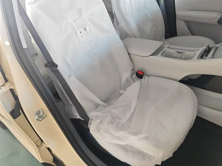 Geely Galaxy Geome 2026 2026款 310km 青春版