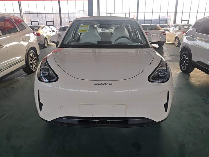 Geely Galaxy Geome 2026 2026款 310km 青春版