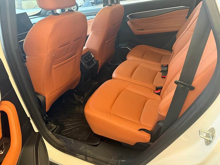 Geely Okavango L 2024 2024款 2.0T DCT旗舰型