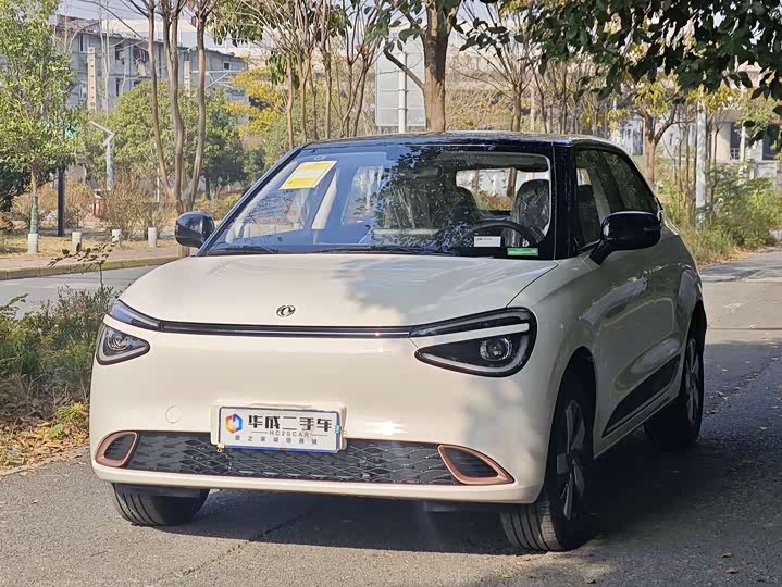 Dongfeng Nammi 01 2026 2026款 初心款 330Air