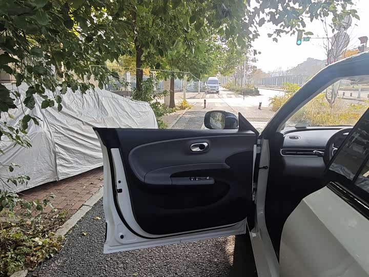 Dongfeng Nammi 01 2026 2026款 初心款 330Air