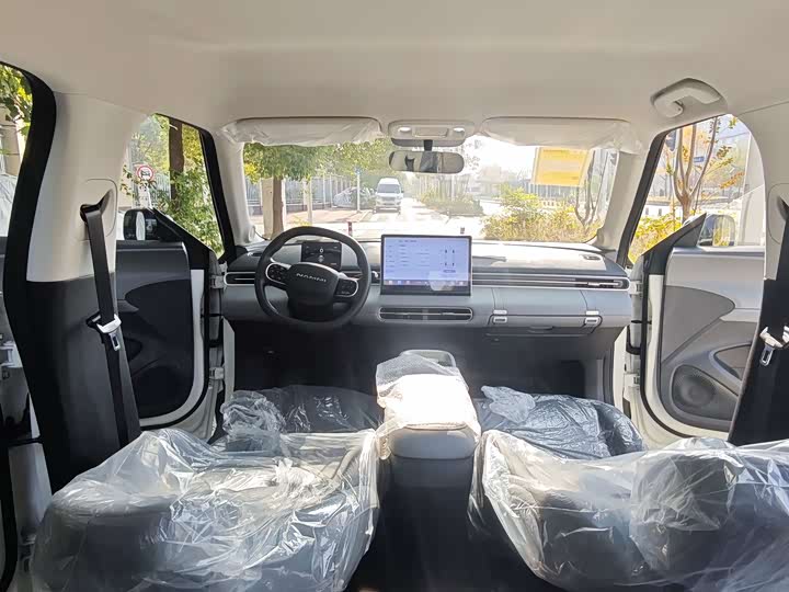 Dongfeng Nammi 01 2026 2026款 初心款 330Air