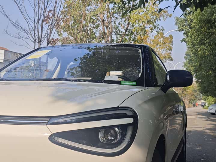 Dongfeng Nammi 01 2026 2026款 初心款 330Air