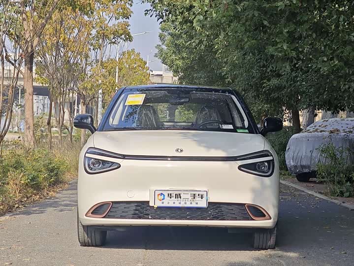 Dongfeng Nammi 01 2026 2026款 初心款 330Air