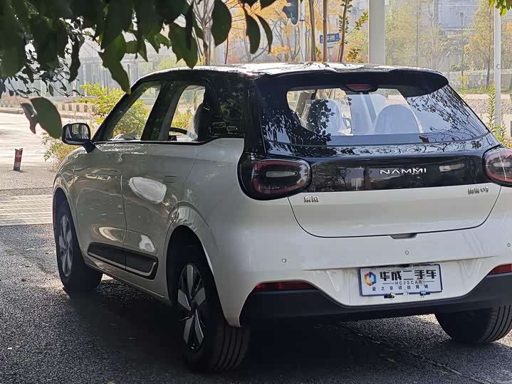 Dongfeng Nammi 01 2026 2026款 初心款 330Air