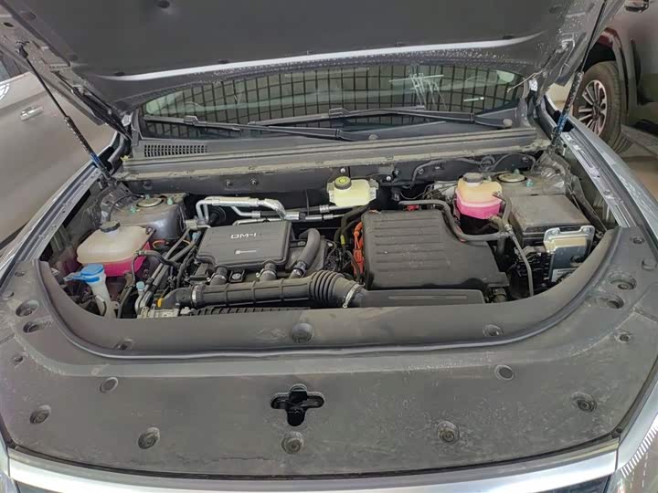 BYD Sea Lion 05 DM-i Hybrid 2025 2025款 DM-i 智驾版 115KM旗舰型