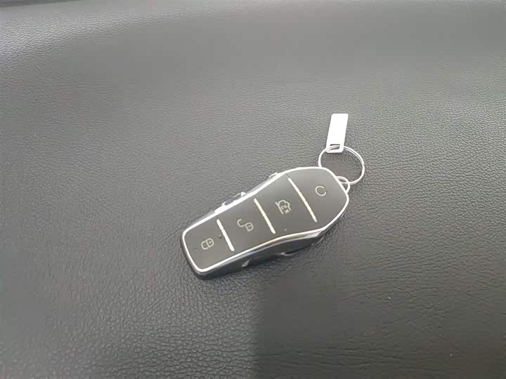 BYD Sea Lion 05 DM-i Hybrid 2025 2025款 DM-i 智驾版 115KM旗舰型