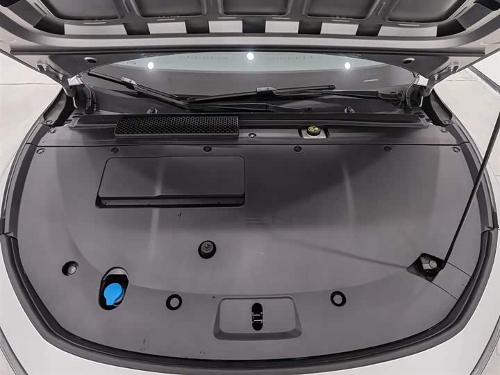 XPeng F57 2024 2024款 长续航 Max