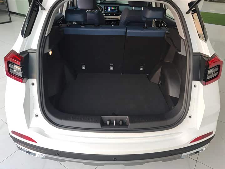 Chery Tiggo 5x 2024 2024款 惠民版 1.5L CVT时尚型