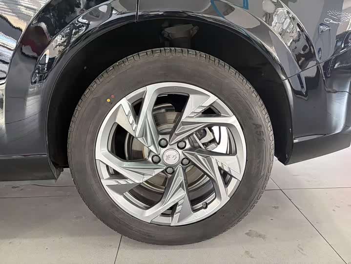 Hongqi HS3 2024 2024款 1.5T 善为版