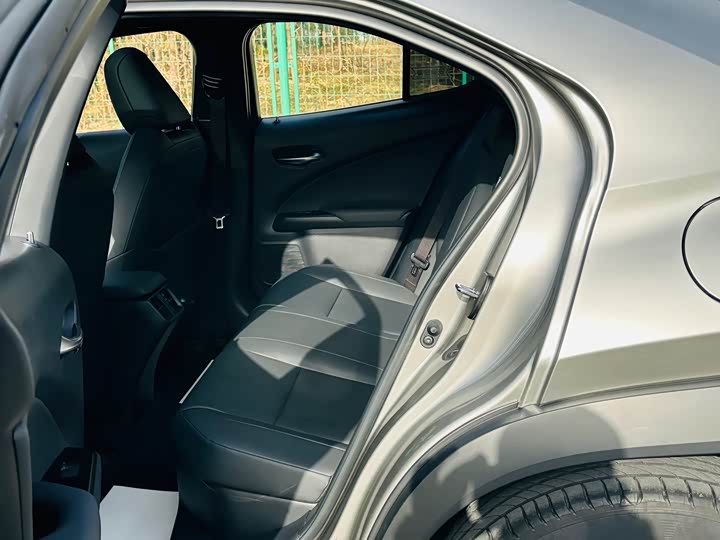 Lexus UX 2020 2020款 260h 探·趣版