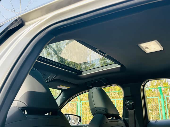 Lexus UX 2020 2020款 260h 探·趣版