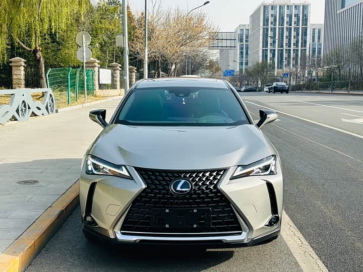 Lexus UX 2020 2020款 260h 探·趣版