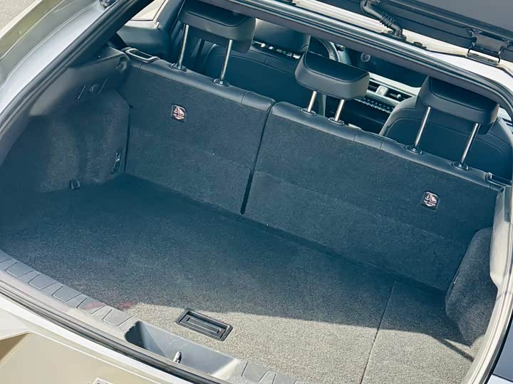 Lexus UX 2020 2020款 260h 探·趣版