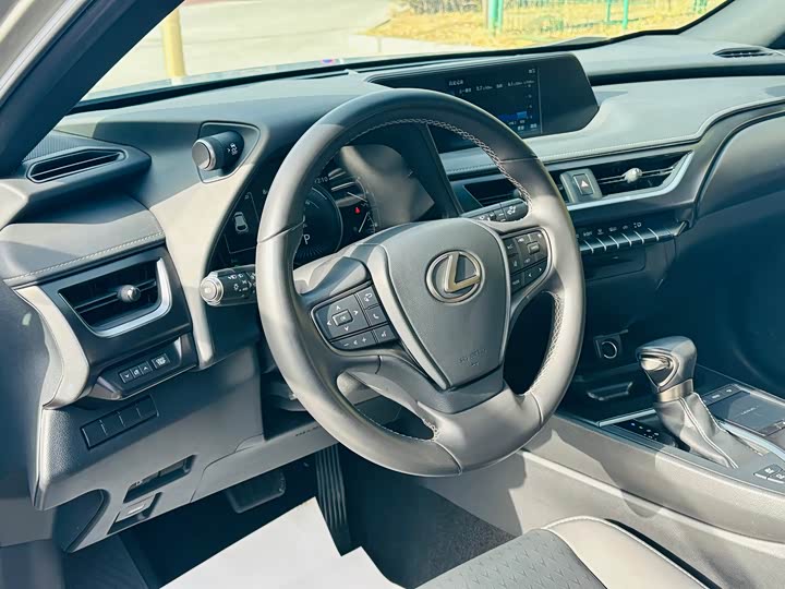 Lexus UX 2020 2020款 260h 探·趣版
