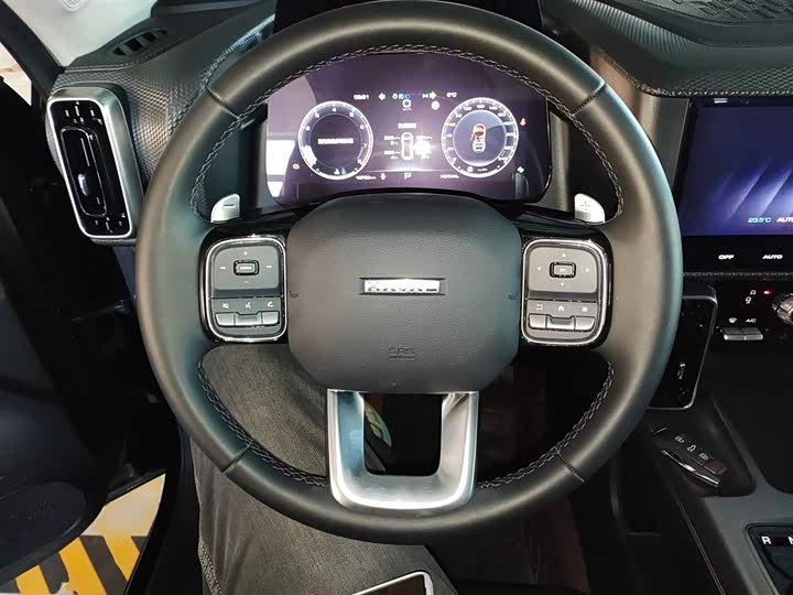 Haval Dargo 2024 2024款 1.5T DCT边牧版