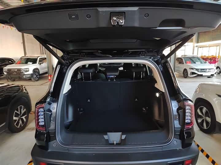 Haval Dargo 2024 2024款 1.5T DCT边牧版