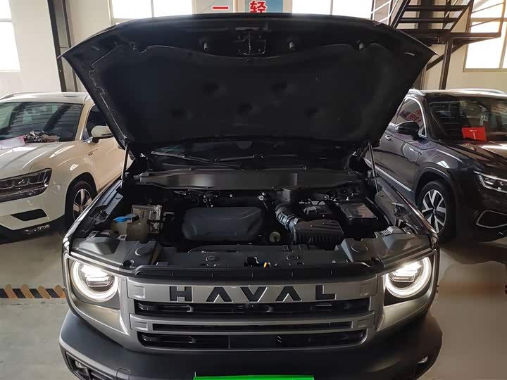 Haval Dargo 2024 2024款 1.5T DCT边牧版
