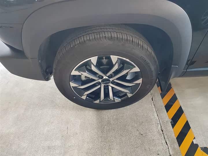 Haval Dargo 2024 2024款 1.5T DCT边牧版