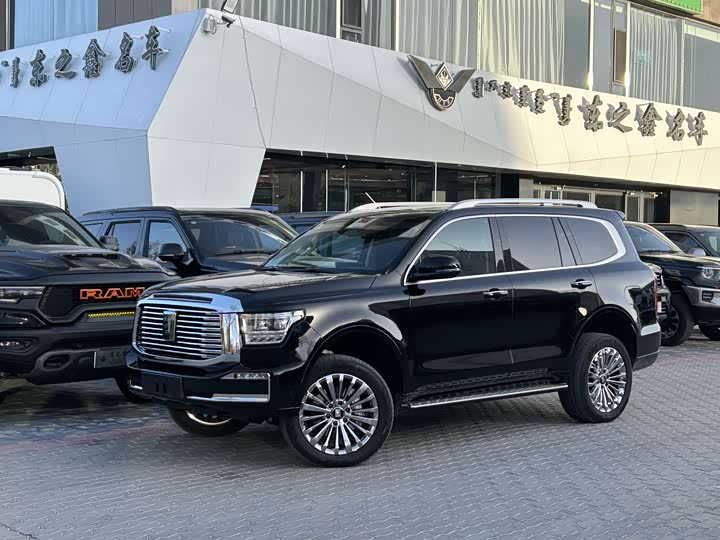 Tank 500 Hybrid 2025 2025款 Hi4-Z