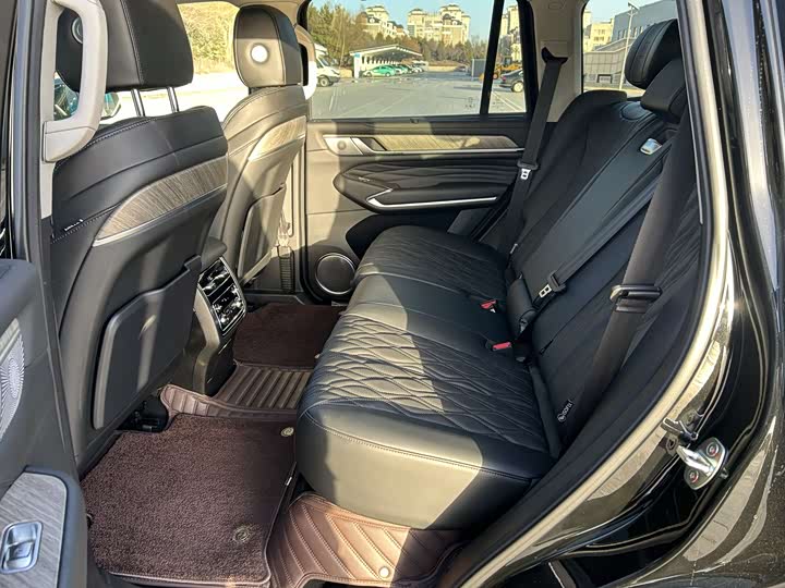 Tank 500 Hybrid 2025 2025款 Hi4-Z