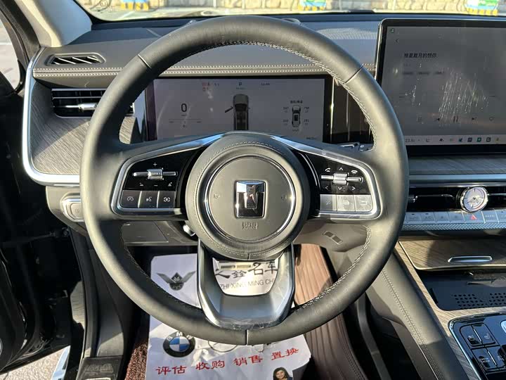 Tank 500 Hybrid 2025 2025款 Hi4-Z