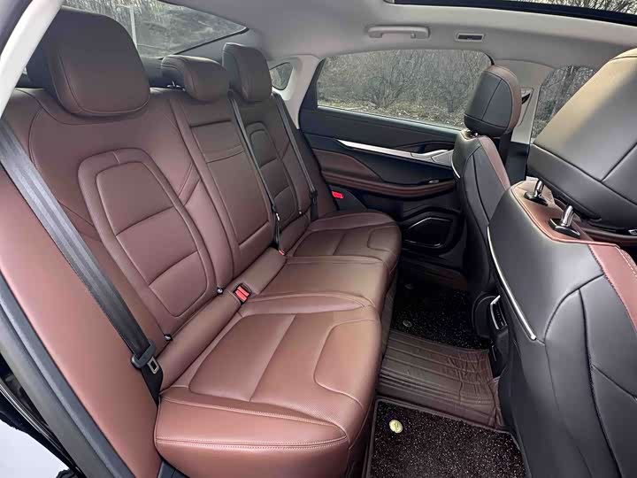 Lincoln Z (Zephyr) 2024 2024款 2.0T 两驱尊逸混动版