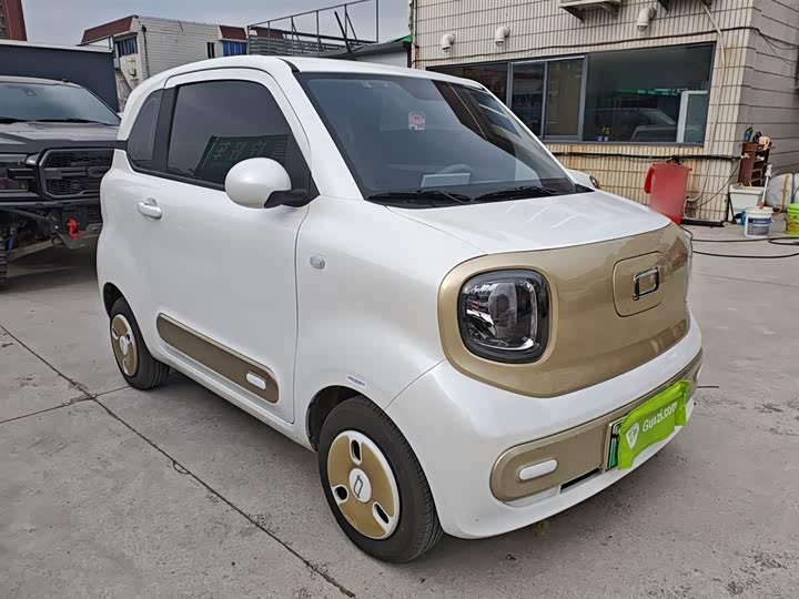 Bestune Pony 2025 2025款 222km 玲珑马