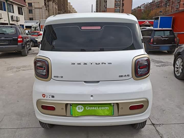 Bestune Pony 2025 2025款 222km 玲珑马