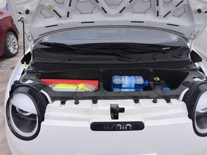 Changan Qiyuan (Nevo) Lumin 2025 2025款 205km 清香款