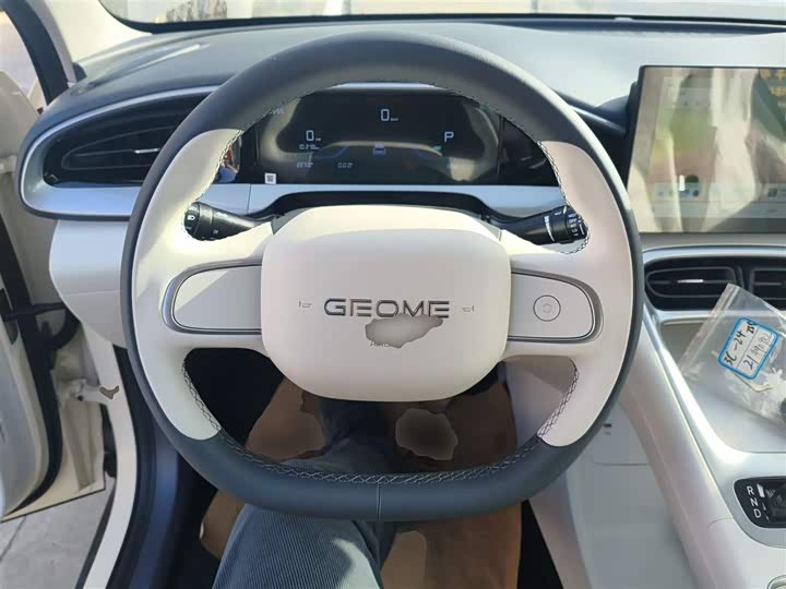 Geely Galaxy Geome 2026 2026款 310km 青春版