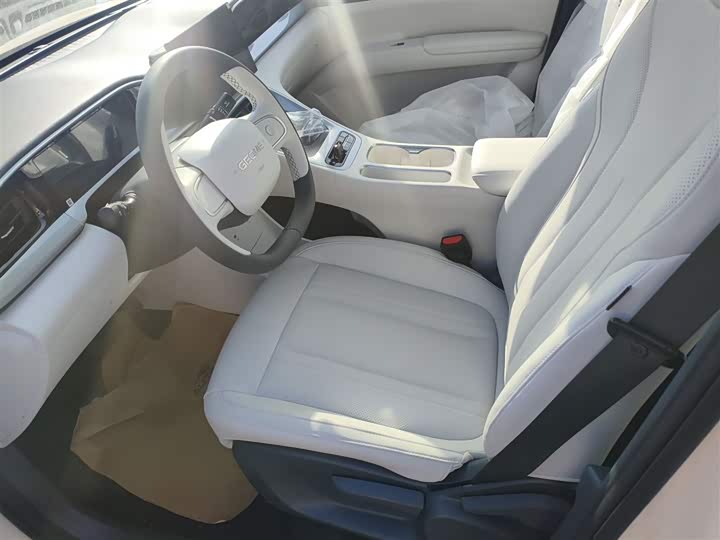 Geely Galaxy Geome 2026 2026款 310km 青春版