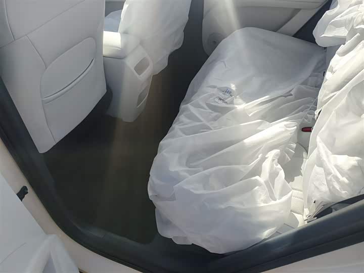 Geely Galaxy Geome 2026 2026款 310km 青春版