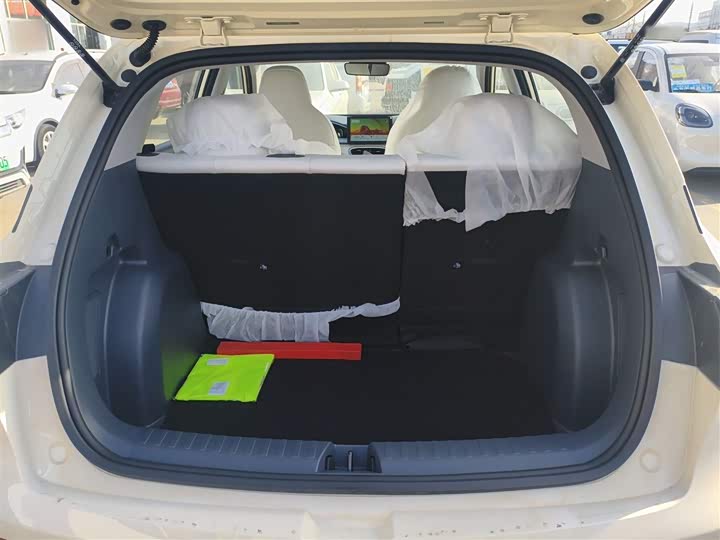 Geely Galaxy Geome 2026 2026款 310km 青春版