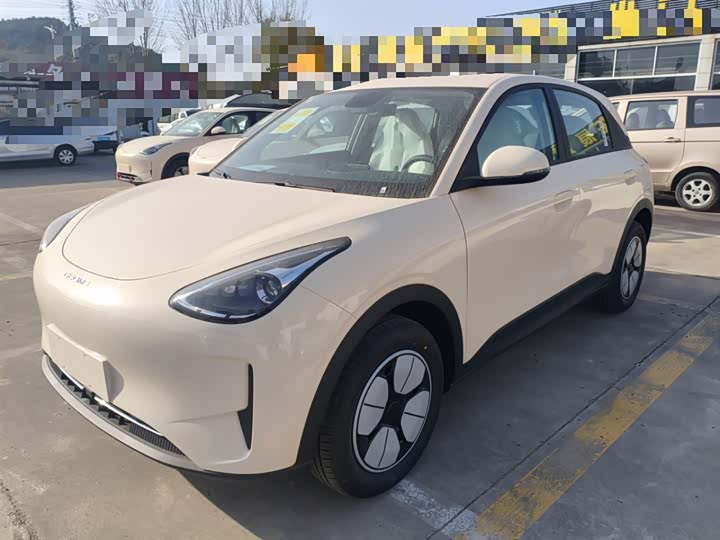 Geely Galaxy Geome 2026 2026款 310km 青春版